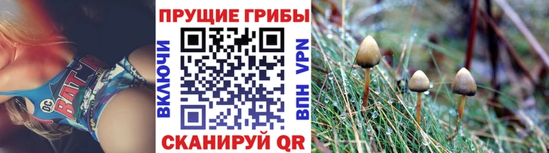 Галлюциногенные грибы прущие грибы Белинский